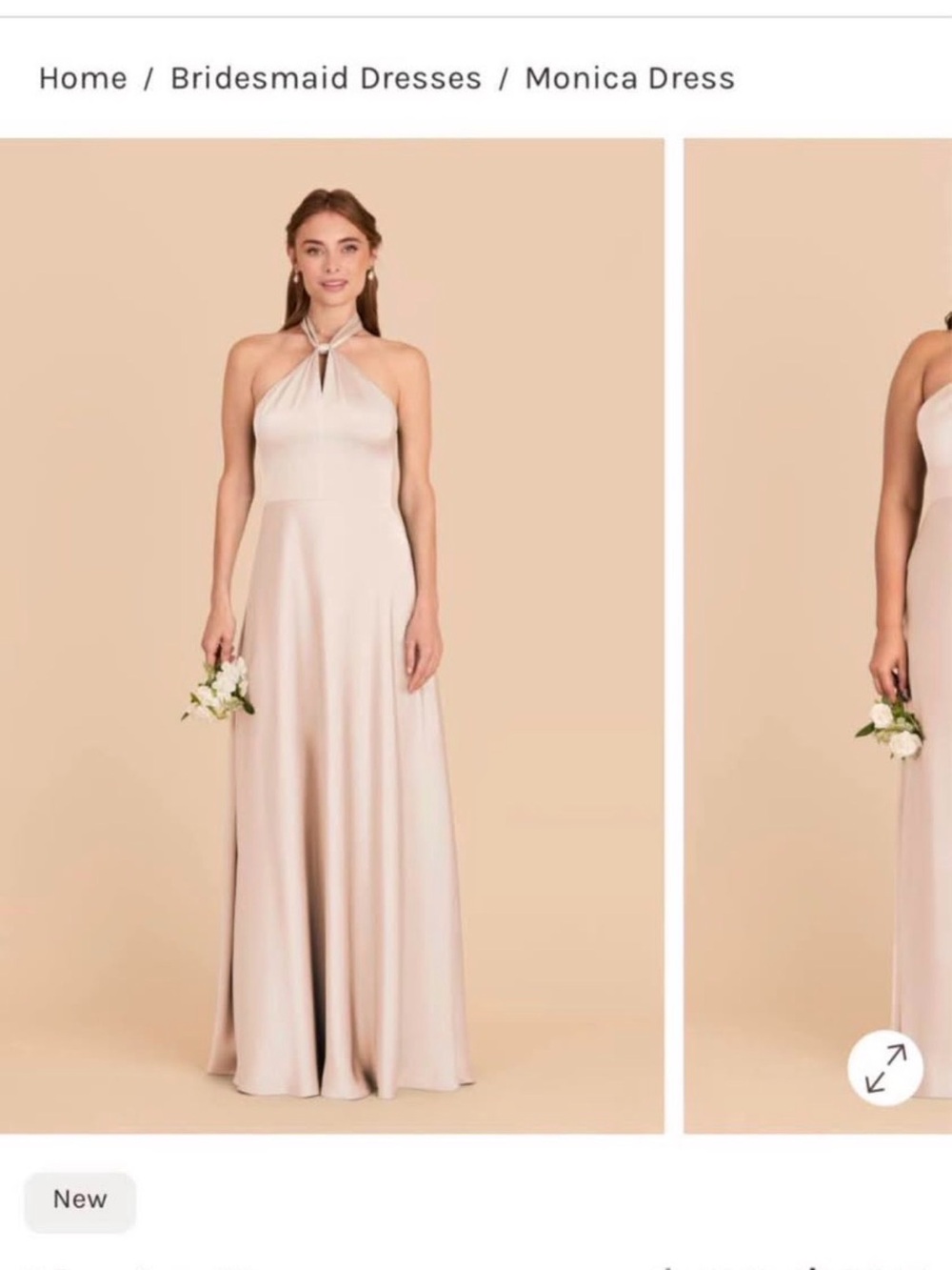 Birdy Grey Monica Halter Maxi Dress in Blush Pink